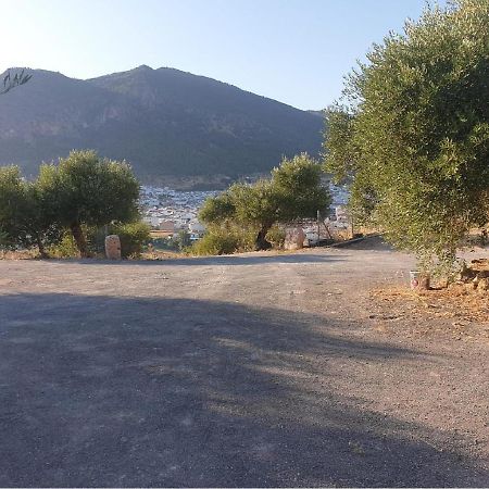 Villa El Mirador الجودوناليس المظهر الخارجي الصورة